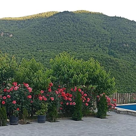 Green Garden Կանաչ Այգի Ijevan Eksteriør billede