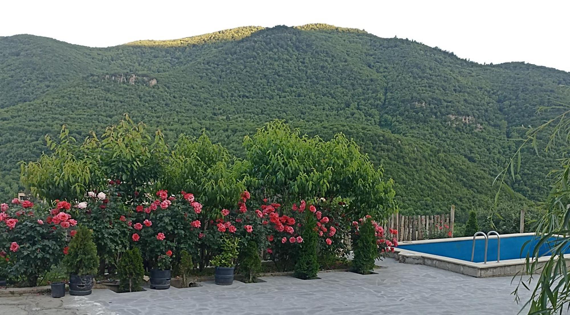 Green Garden Կանաչ Այգի Ijevan Eksteriør billede