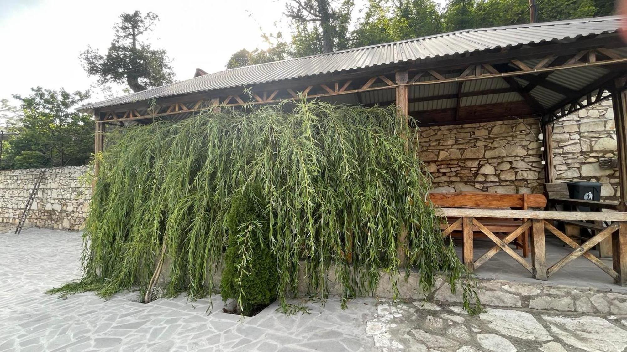 Green Garden Կանաչ Այգի Ijevan Eksteriør billede