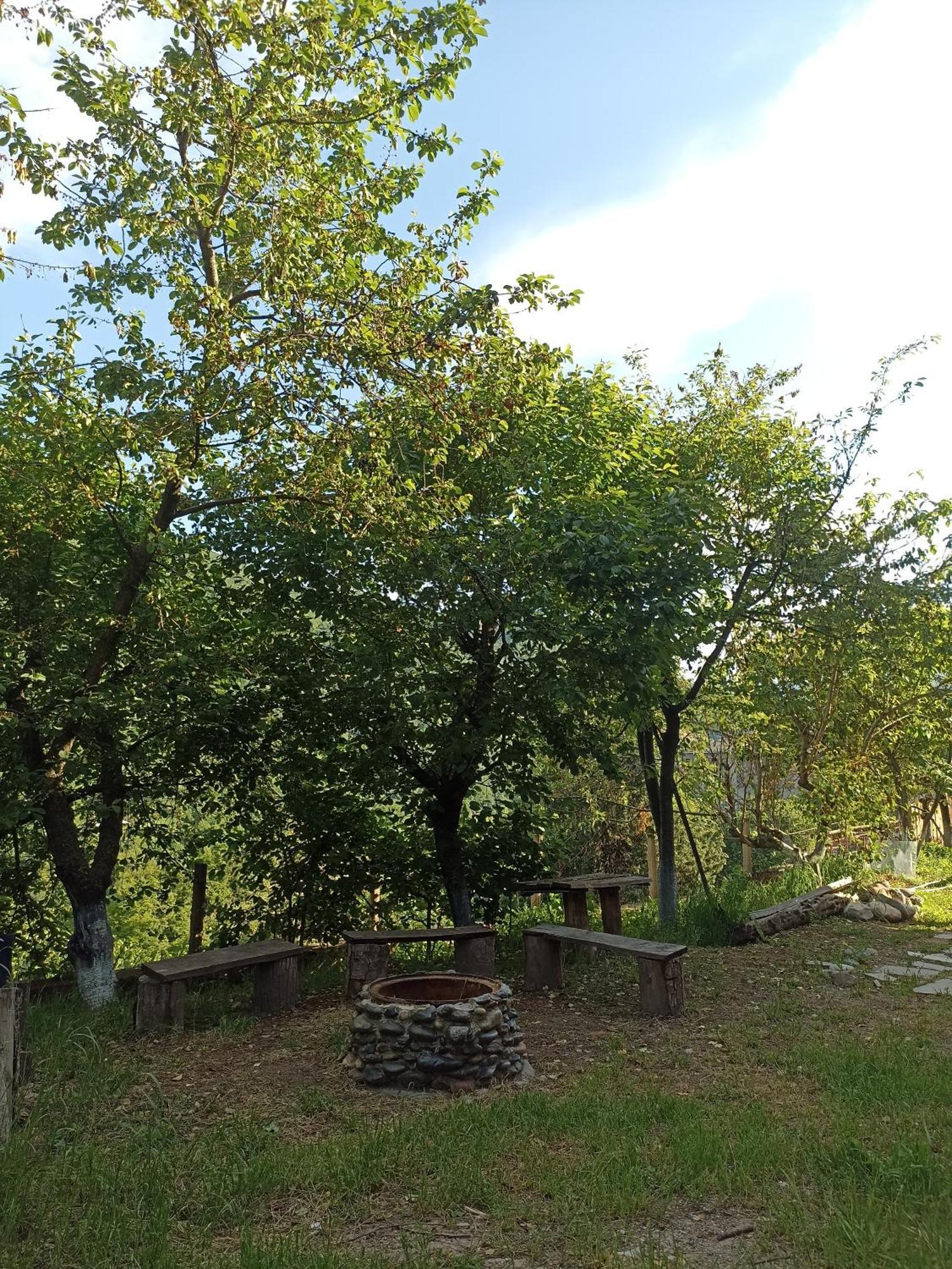 Green Garden Կանաչ Այգի Ijevan Eksteriør billede