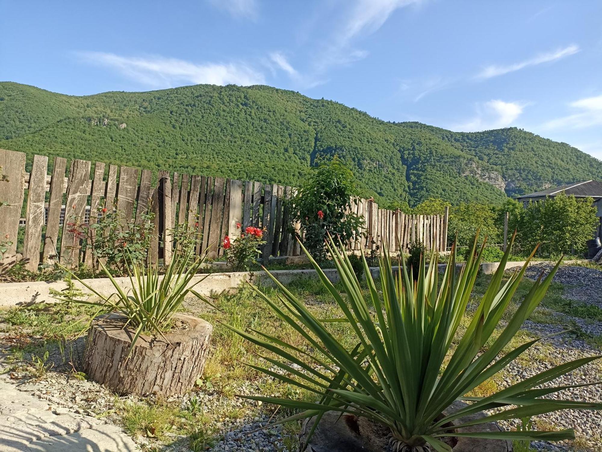 Green Garden Կանաչ Այգի Ijevan Eksteriør billede