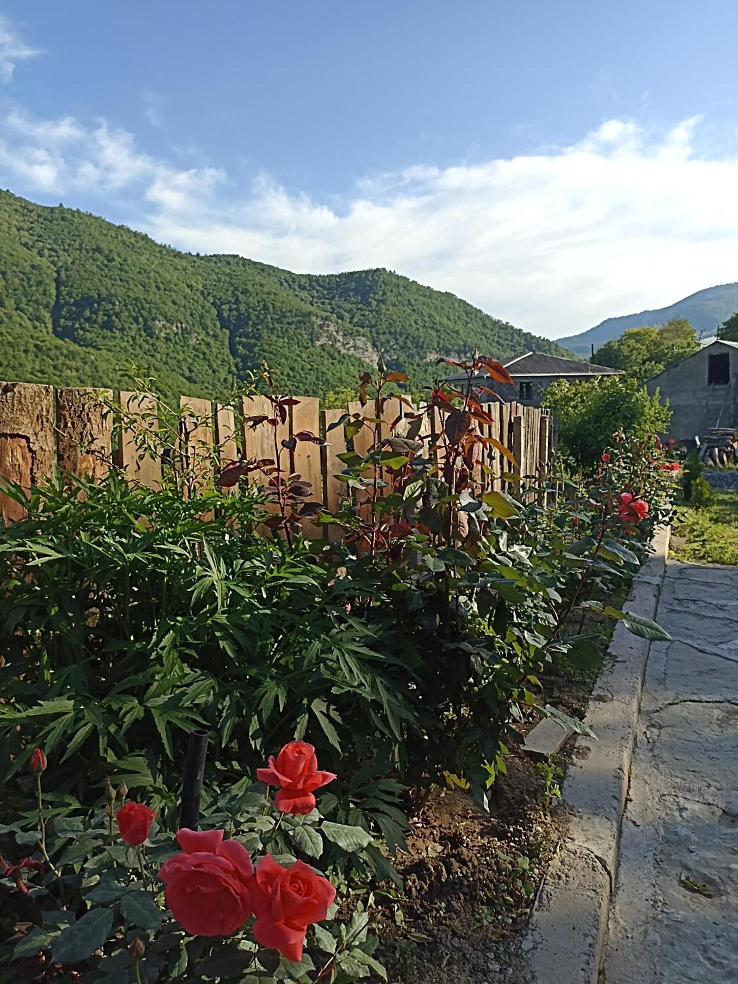 Green Garden Կանաչ Այգի Ijevan Eksteriør billede